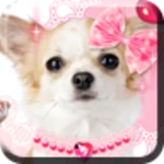 Logo of Me and My Puppy android Application 